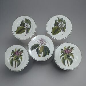 Andrea by Sadek Lot 5 Dinner Plates Williamsburg Mark Catesby Plumeria Botanical